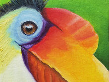 #44 Wrinkled Hornbill