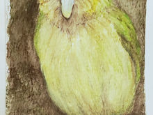 #94 Kakapo