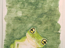 #121 Günther's Bush Frog