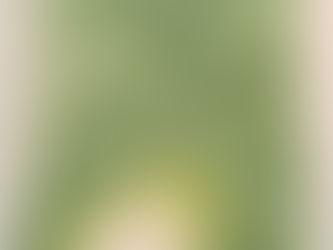 #121 Günther's Bush Frog