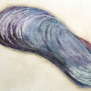 #252 Horikoshi's Giant Mussel