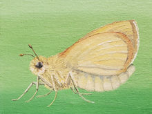 #58 Dakota Skipper