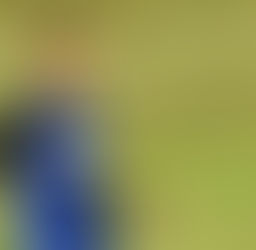 Welcome to Nicholas Patrignani