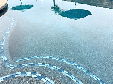 IMG_2904 2_edited_edited.png