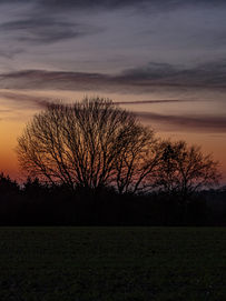 Der Sonnenuntergang in Ratingen-Homberg taucht den Himmel in warme Lila-Orangetöne
Wandbild