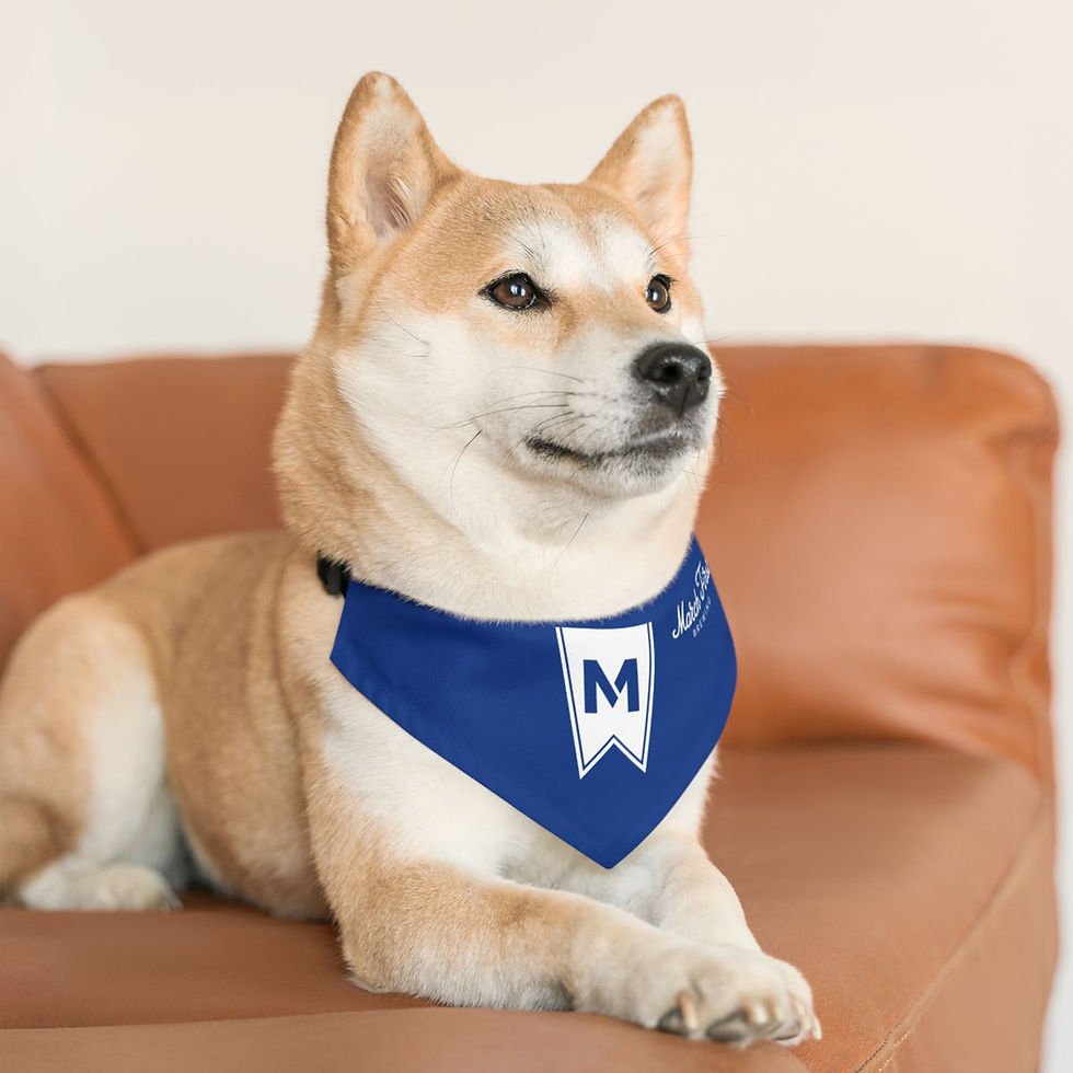 Thumbnail: M1 Pet Bandana Collar