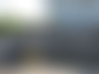 Com um trabalho efetivo Ilhabela registra queda de 43% em casos de dengue