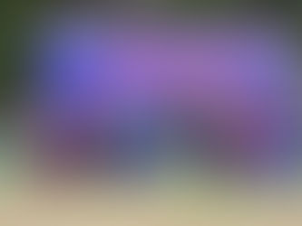 Ilhabela define campeões do 8° Circuito Ilhabela Vôlei de Praia 2022