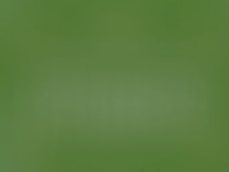 Festa da Padroeira de Ilhabela começa nesta quinta-feira