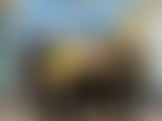 Ilhabela participa de lançamento da nova marca do Litoral Norte e de workshop de incentivo ao crédit