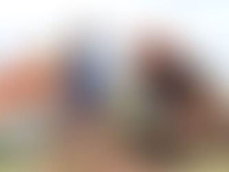 Ilhabela comemora Dia da Árvore com plantio de 20 mudas da Mata Atlântica