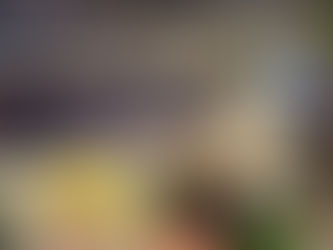 Ilhabela bate recordes de público e faturamento no Boteco do Camarão