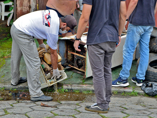 Ilhabela registra queda de 58% nos casos de Dengue enquanto casos cresceram 162,5% no resto do país