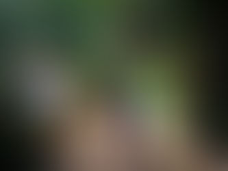 Prefeitura de Ilhabela alerta sobre risco ao visitar Cachoeira do Paquetá