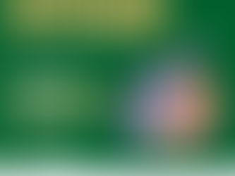 Morro do Cantagalo recebe última edição do ano do Programa Bem-Estar Animal – CRA