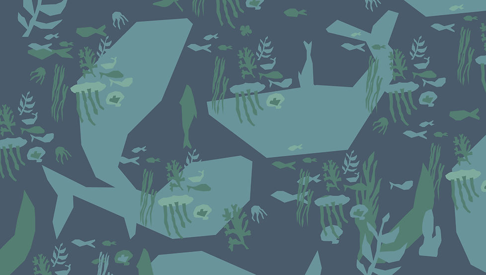Under the Sea