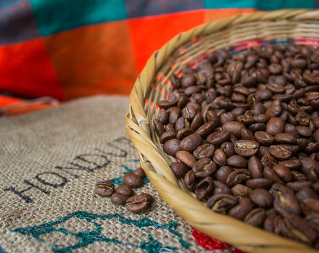 Coffee Industry in Honduras