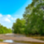 Sanjay Tiger Reserve Sidhi M.P.