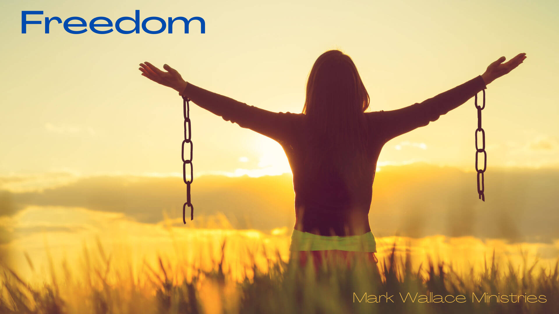 Freedom - With a Purpose content media