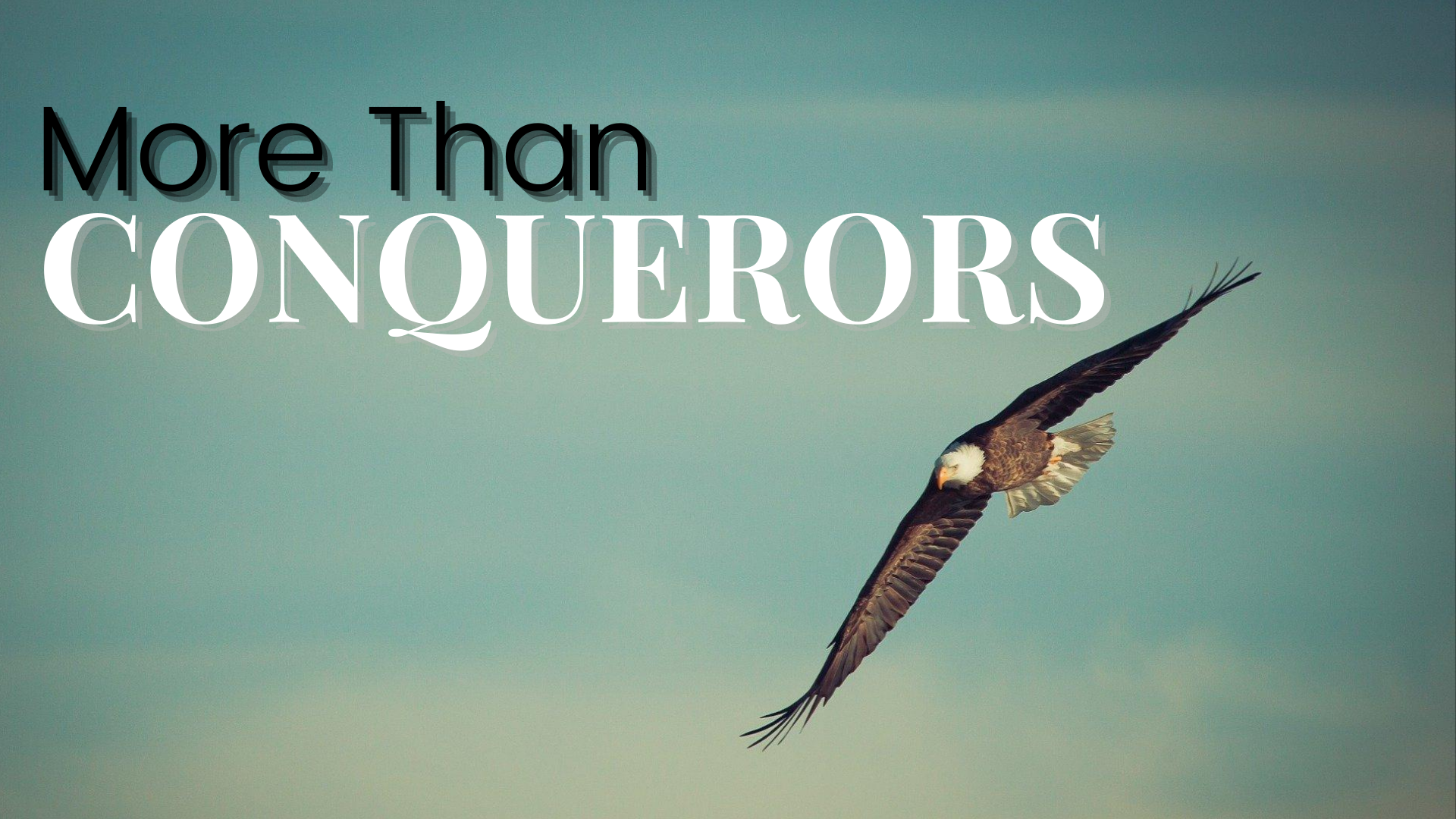More than Conquerors? content media