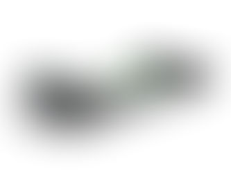 Schaeffler and Mobileye to Industrialize Self-Driving Shuttles