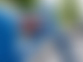 Cyclist Detection System on Subaru Shows Good Results.