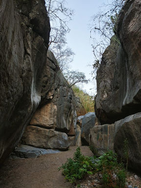 Cañón de tilapa