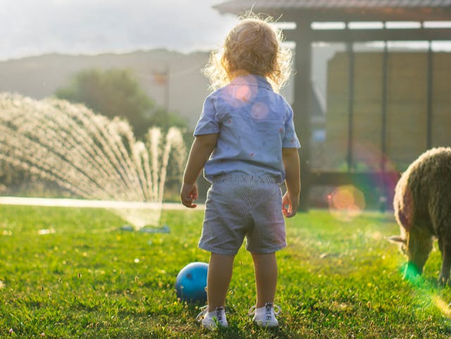 A toddler playing in the backyard during summer