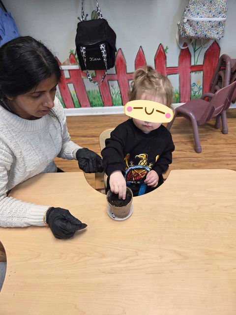 A teacher at Malvern Academy helping a toddler plant seeds in a small pot during a science activity.