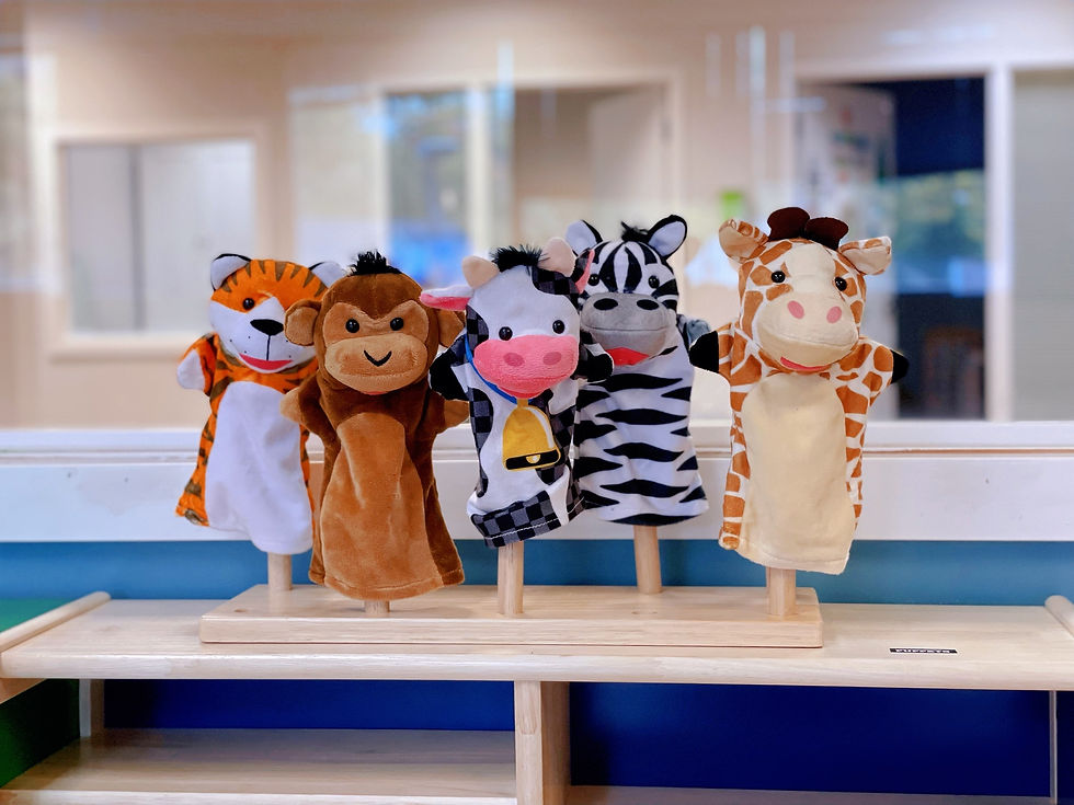 Malvern Academy animal puppets for early childhood literacy and creative play.