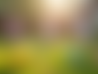 Celebrating Easter: Creating Unforgettable Family Moments