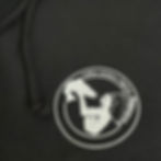 Thumbnail: The Chief Hoodie