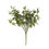 Thumbnail: Eucalyptus Spray | Green