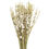 Thumbnail: Cream Dried Larkspur Wildflowers - 23-26"
