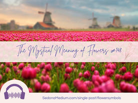The Mystical Meaning of Flowers #148