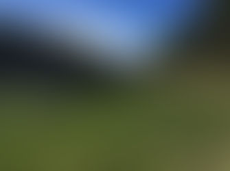 The Mountain Refuge (2)