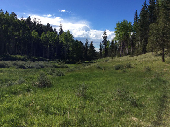 The Mountain Refuge (2)