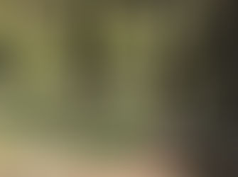 Mail aan mijn sangha