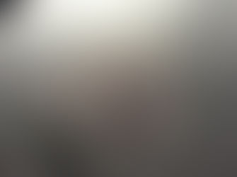 Back in Holland, Preparing for Ordination