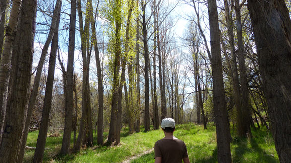 Me and my teacher in Upaya
