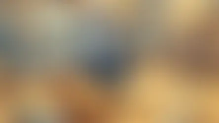 Les cartons : pourquoi les chats en raffolent-ils tant ?