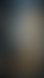 Les petits fantômes dans la nuit ! - la chanson des chats abandonnés 