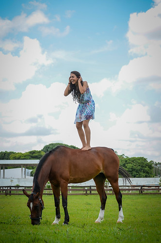 Cavalos / Gabriella Ramires - Fotografias