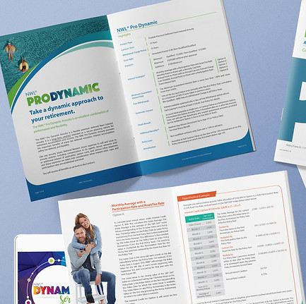 ProDynamic Mockup.jpg