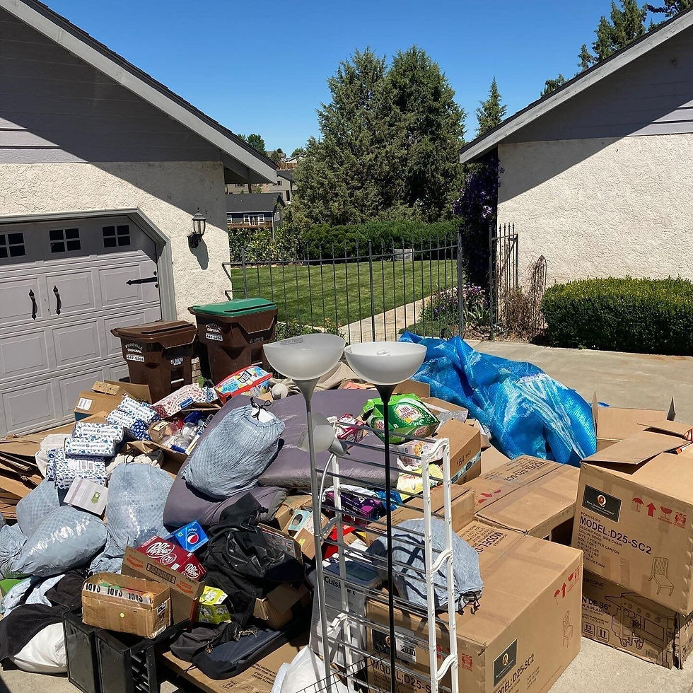 junk-removal-near-me-jacksonville-progreen-services.jpg