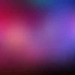 Photo by Alizabeth Westfall