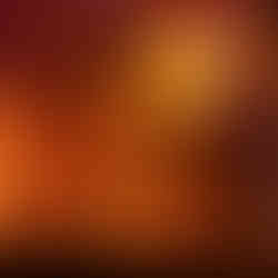 Photo by Alizabeth Westfall