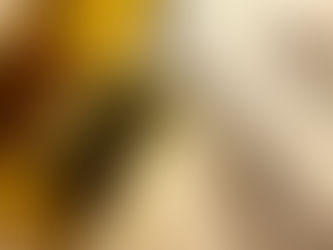 Putin SETS DEADLINE FOR DROPPING THE US DOLLAR 