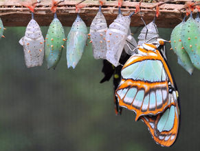 Eckhart Tolle Best Quotes