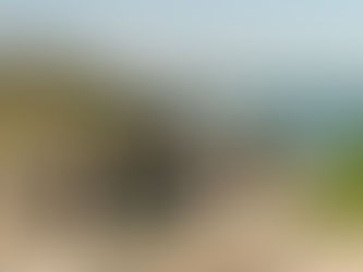 Travel blog: my journey into Tulum's - Mayan ruins